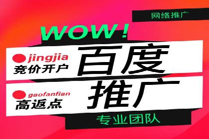 百度竞价与社交媒体广告的结合应用案例